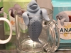 manatea-tea-infuser