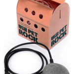 USB-Powered Pet Rock Comes To Life, Still Does Nothing