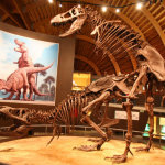 Discovery Channel Valentine’s Special Shows You How Dinos Do It…In Graphical Detail