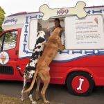 K99, An Ice Cream Van For Dogs