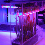 Grow A Garden In Your Cubicle With The Miniature LabBox Grower
