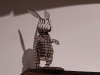 d-torso-16