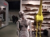 d-torso-8