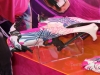 hasbro-nerf-rebelle-crossbow