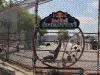 red-bull-creation-img_1118