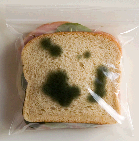 anti-theft-lunch-bag