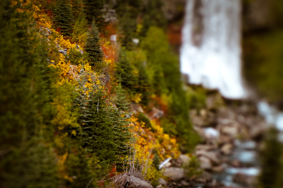 edge-80-tilt-shift-result