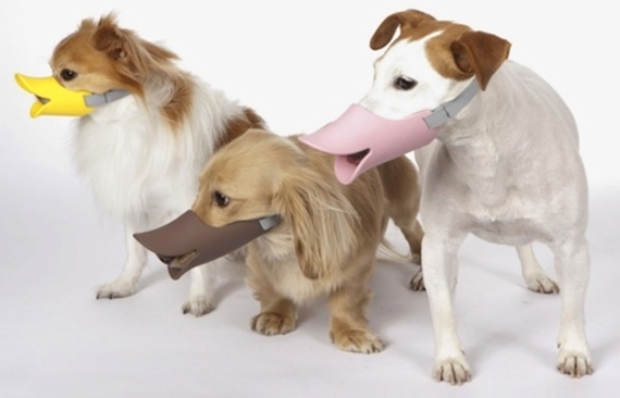 oppo-quack-dog-muzzle-1