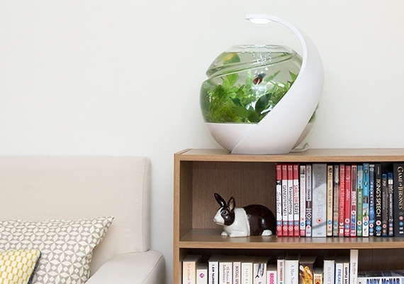 avo-self-cleaning-aquarium-2