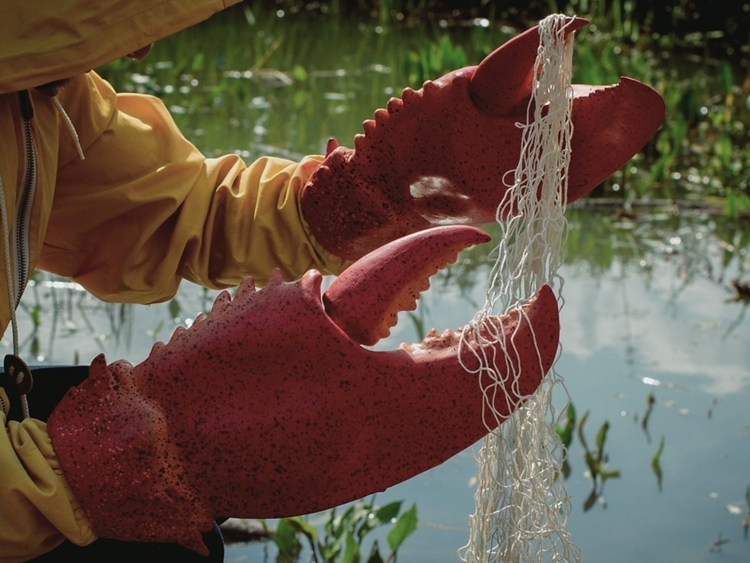 giant-lobster-claws-3