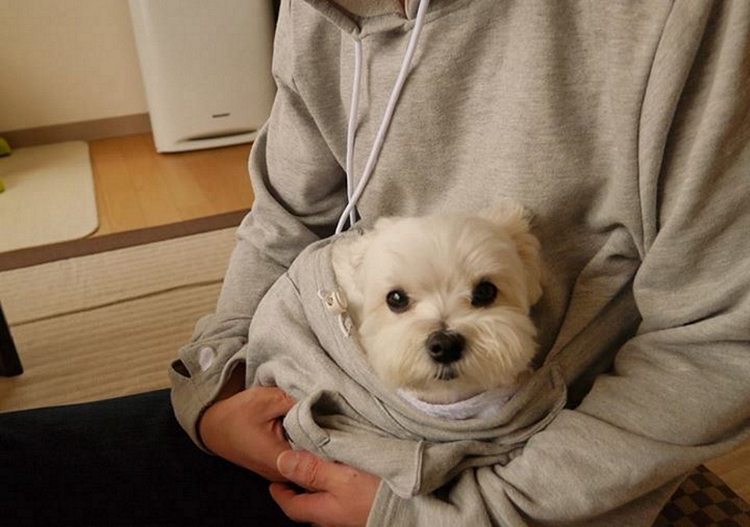 mewgaroo-hoodie-3