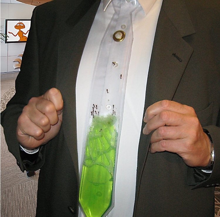 New Plastic Clear Necktie Tie Sleeves 500 Counts 