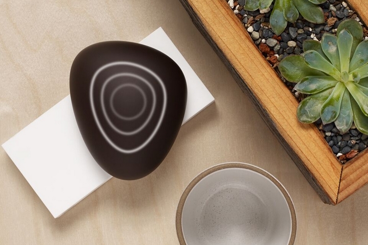 dojo-security-pebble-2