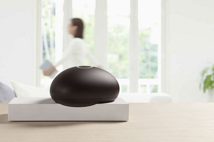 dojo-security-pebble-3