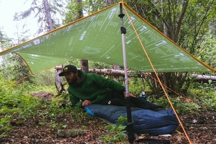 triptarp-3