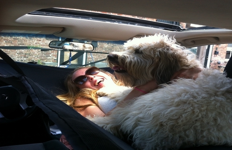 car-hammock-2