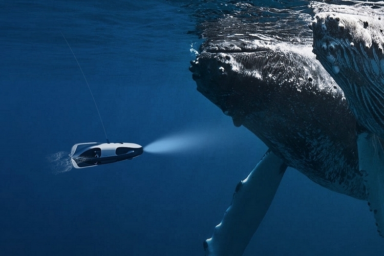 powervision-powerray-2