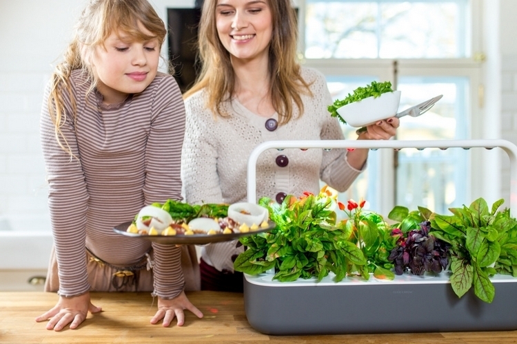 click-grow-smart-garden-9-2