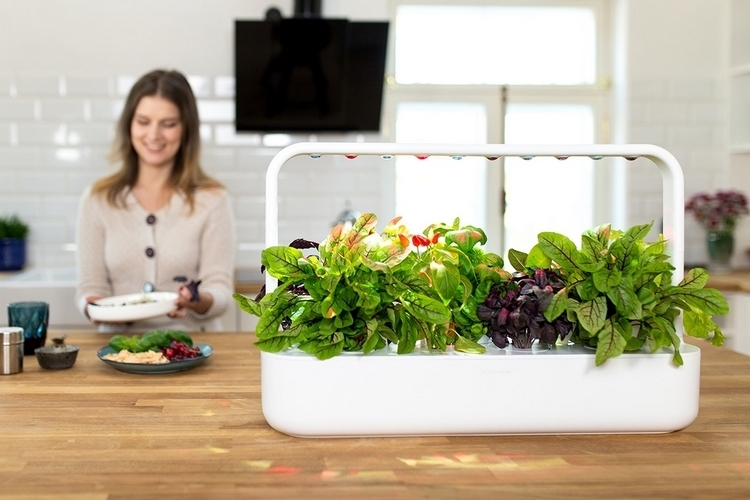 click-grow-smart-garden-9-3