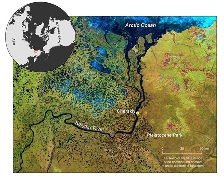 pleistocene-park-0