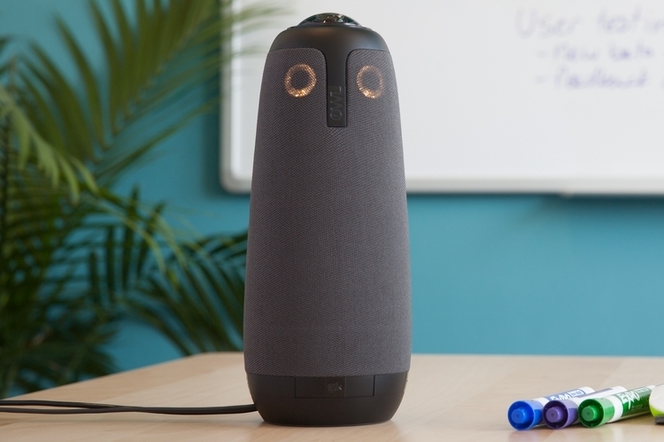 meeting-owl-1