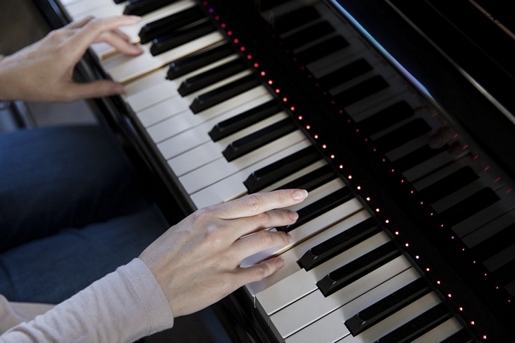 Details about   NEW WANAKA LIMITED The ONE Hi-Lite Learning System Piano 88-Key LED Light for 