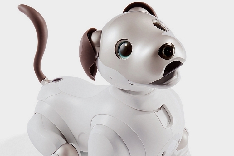 sony-aibo-3