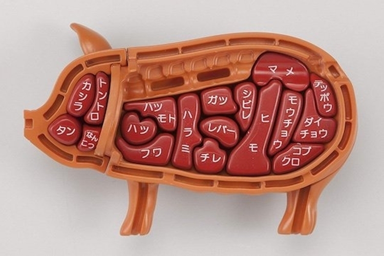 megahouse-3d-pig-dissection-puzzle-3