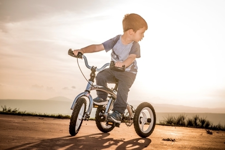 monkeycycle-4