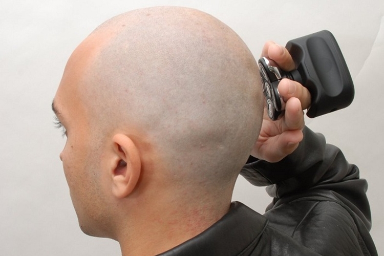 skull-shaver-pitbull-4