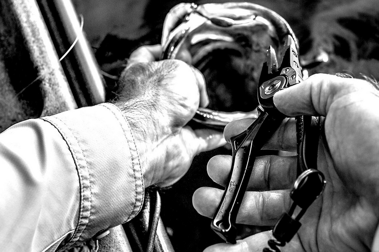 gerber-magnipliers-3