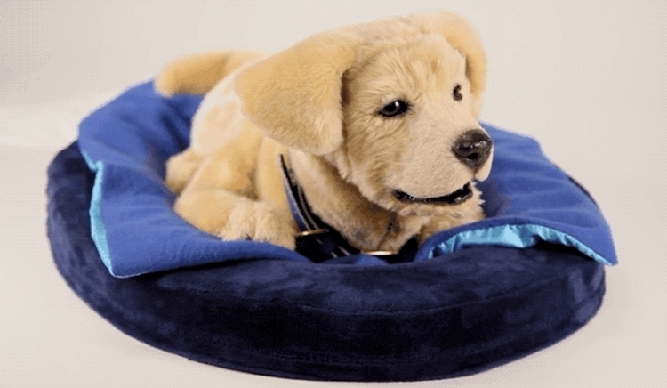 tombot-robot-dog-1
