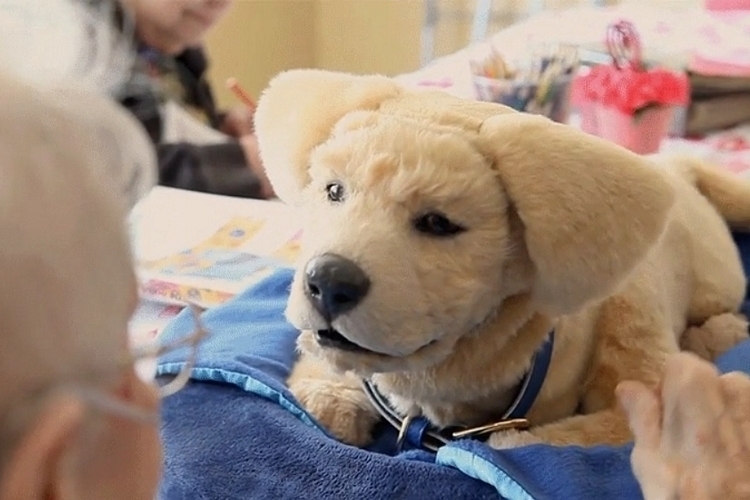 tombot-robot-dog-2
