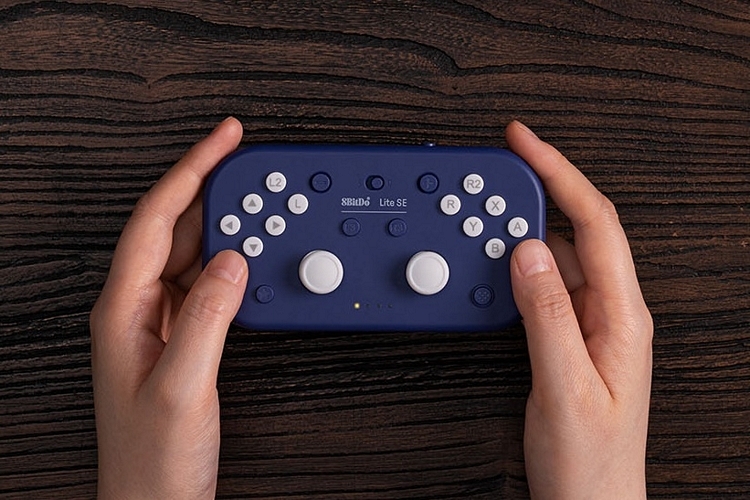8Bitdo Lite Se Bluetooth Gamepad For Switch, Switch Lite, Android And  Raspberry Pi, For Gamers With Limited Mobility 
